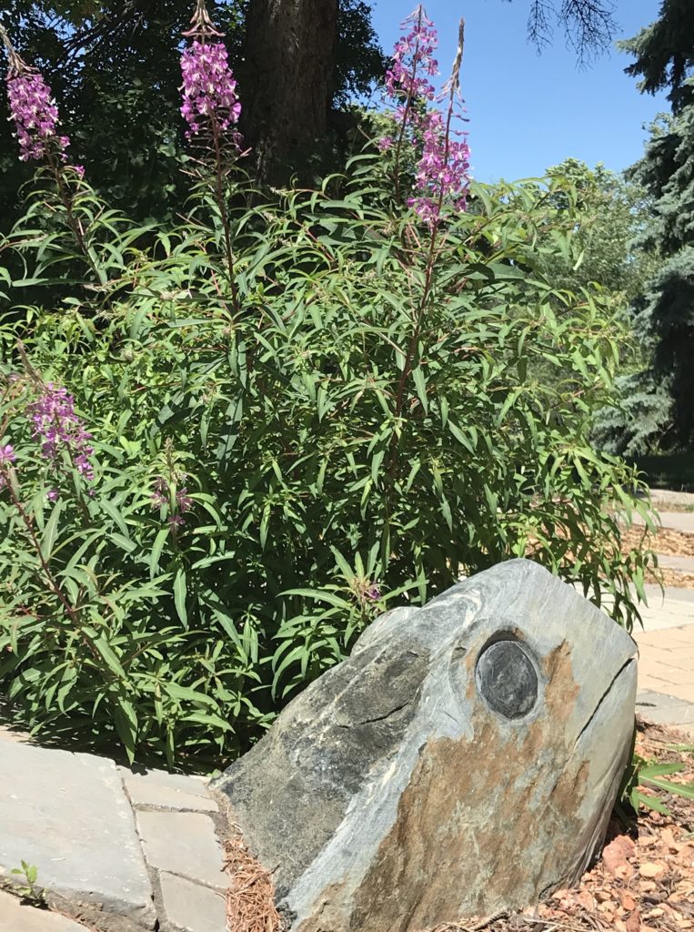 Une sculpture de tortue se trouve au premier plan et des fleurs à l'arrière-plan.