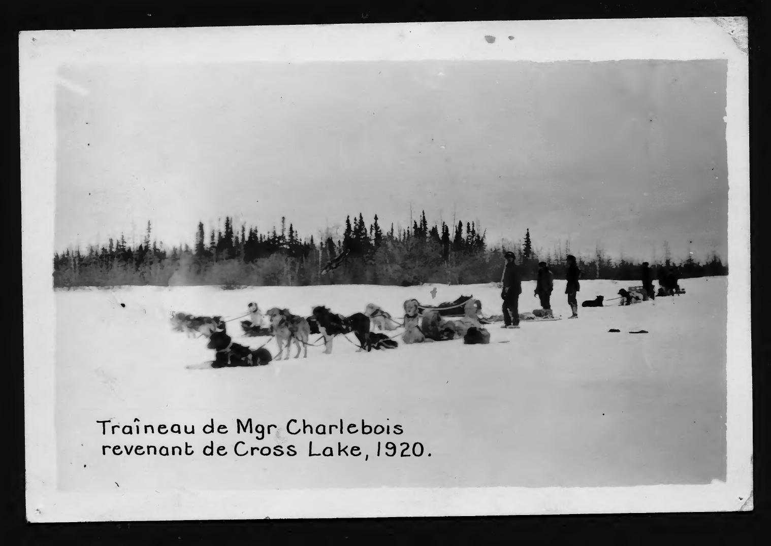 Monseigneur Ovide Charlebois and a group of people with dog sleds by a forest in 1920.