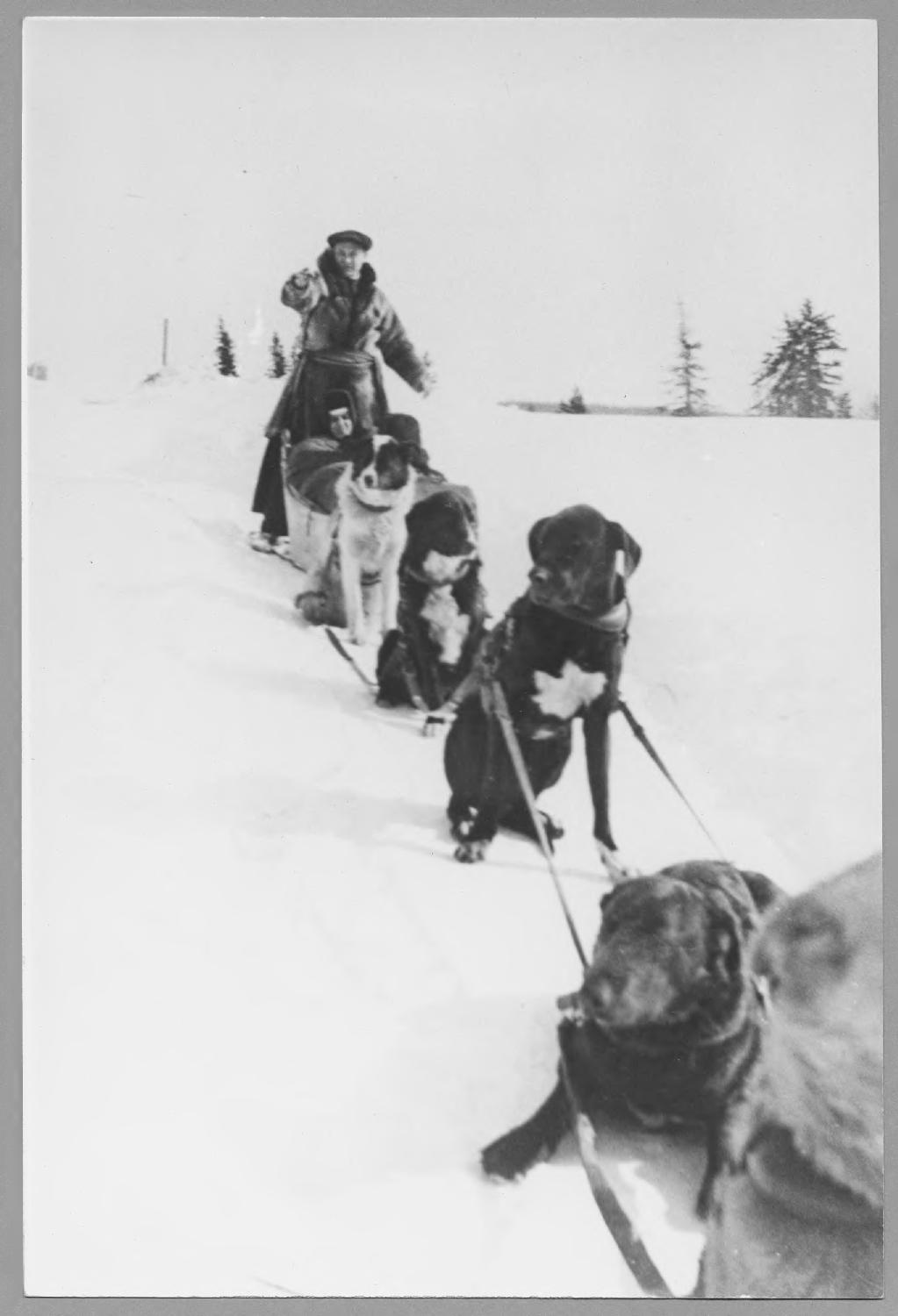 Father Albert Chamberland on a dog sled in Norway House, Manitoba.