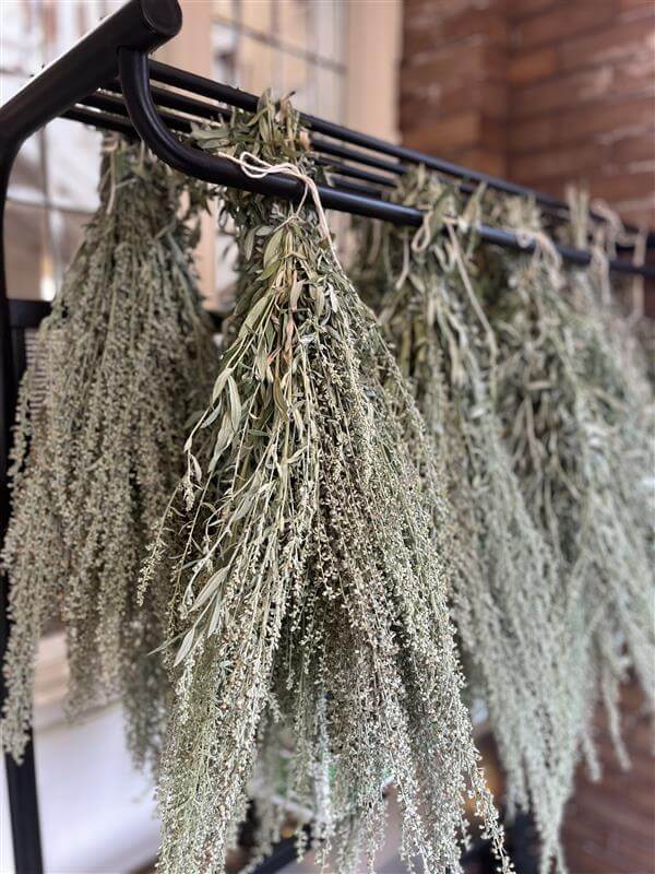 Bundles of Indigenous medicines hang to dry.